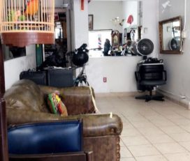 Seng’s Shear Delight Barbershop